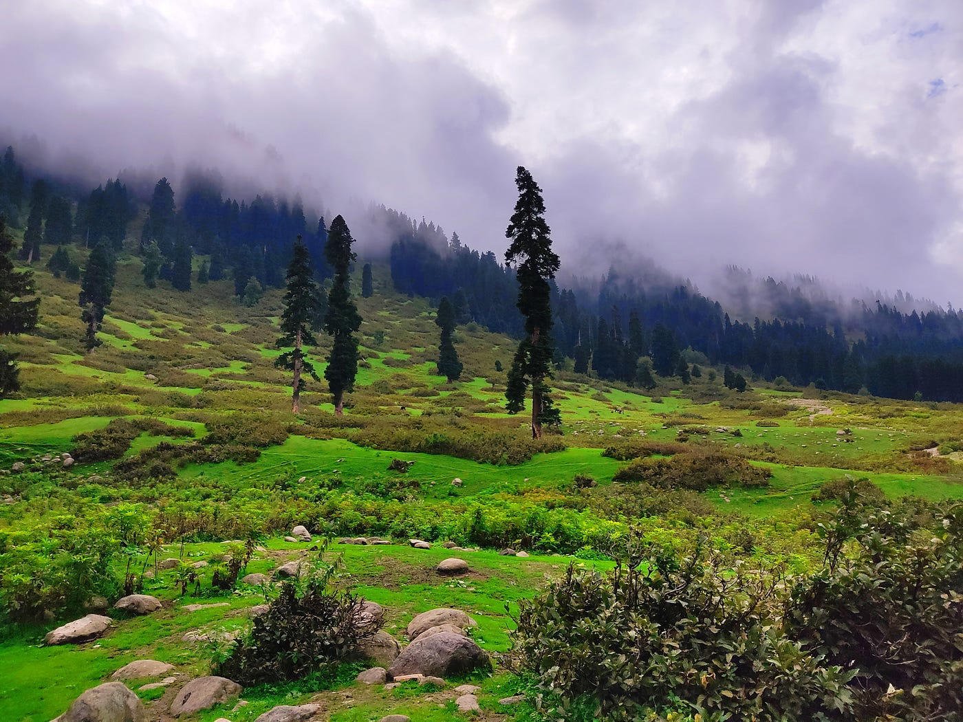 Open meadow at Doodhpathri in Kashmir