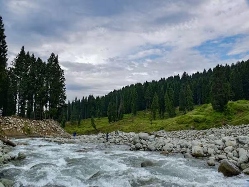 Valley meadows a short drive from Srinagar