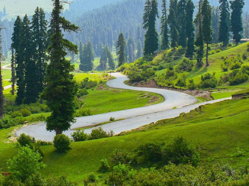 Pasture landscape typical of south Kashmir valleys