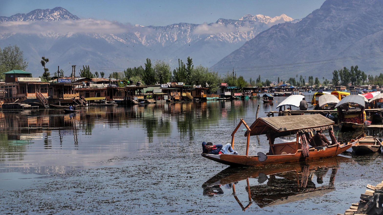 Shikara on Dal Lake with houseboats and Himalayan backdrop