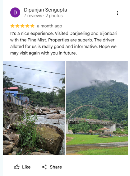 Google review